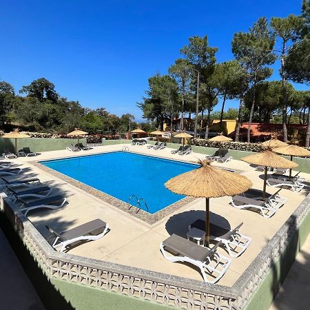 Domaine Des Mimosas Daire Argelès-sur-Mer Dış mekan fotoğraf