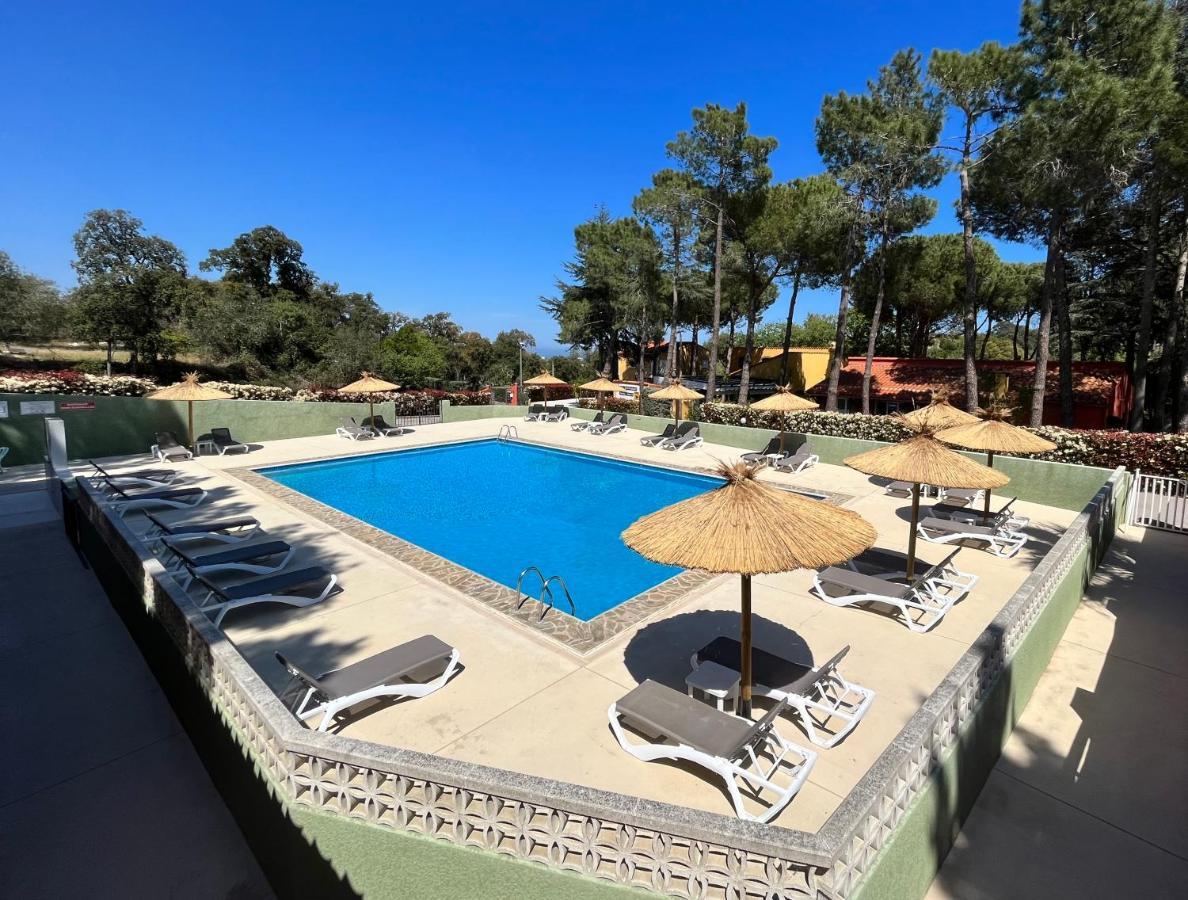 Domaine Des Mimosas Daire Argelès-sur-Mer Dış mekan fotoğraf