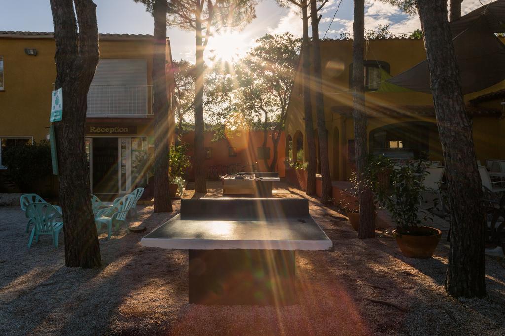 Domaine Des Mimosas Daire Argelès-sur-Mer Dış mekan fotoğraf