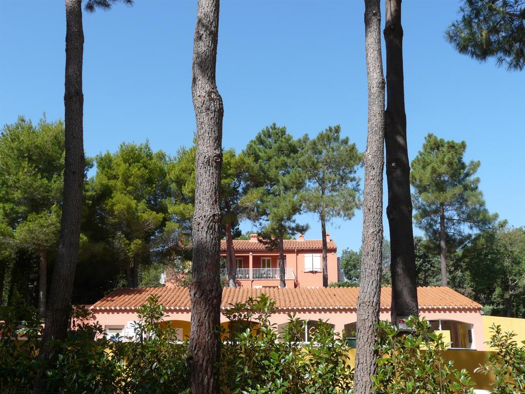 Domaine Des Mimosas Daire Argelès-sur-Mer Oda fotoğraf